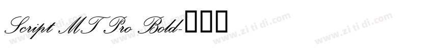 Script MT Pro Bold字体转换
